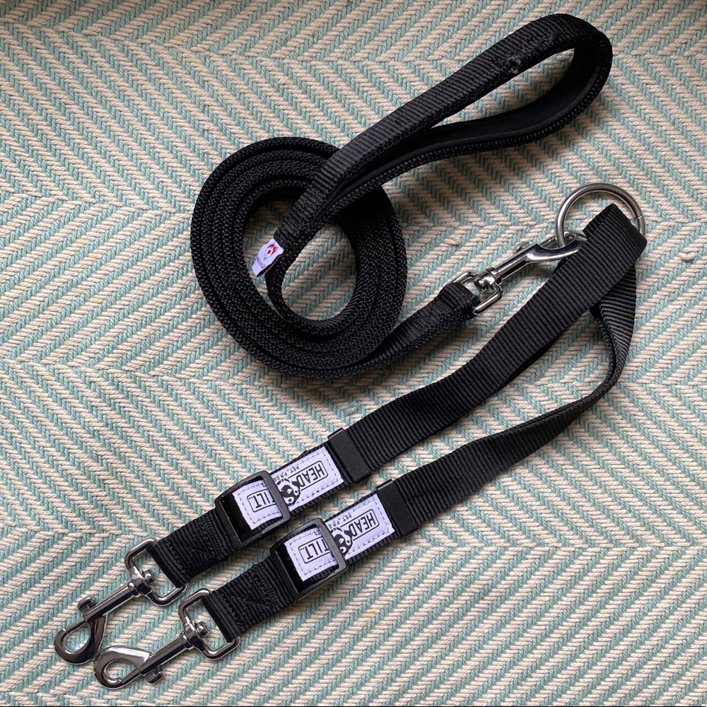 Pet Lovers Club 6 FT Dog Leash + Two Dog Extender